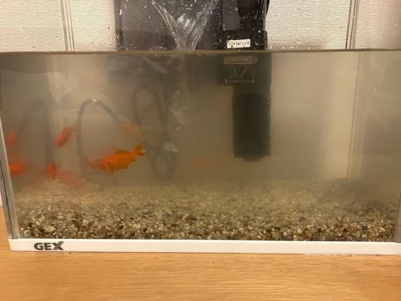 水槽の水