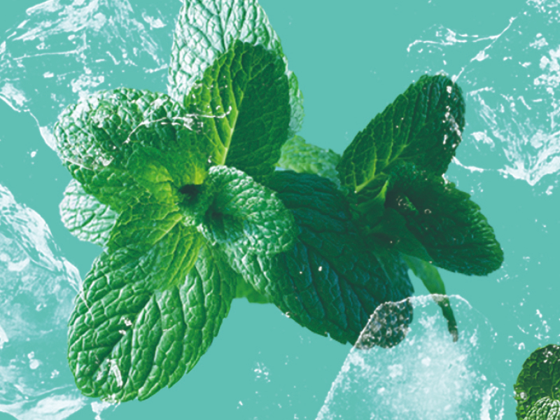 ミントフレーバー