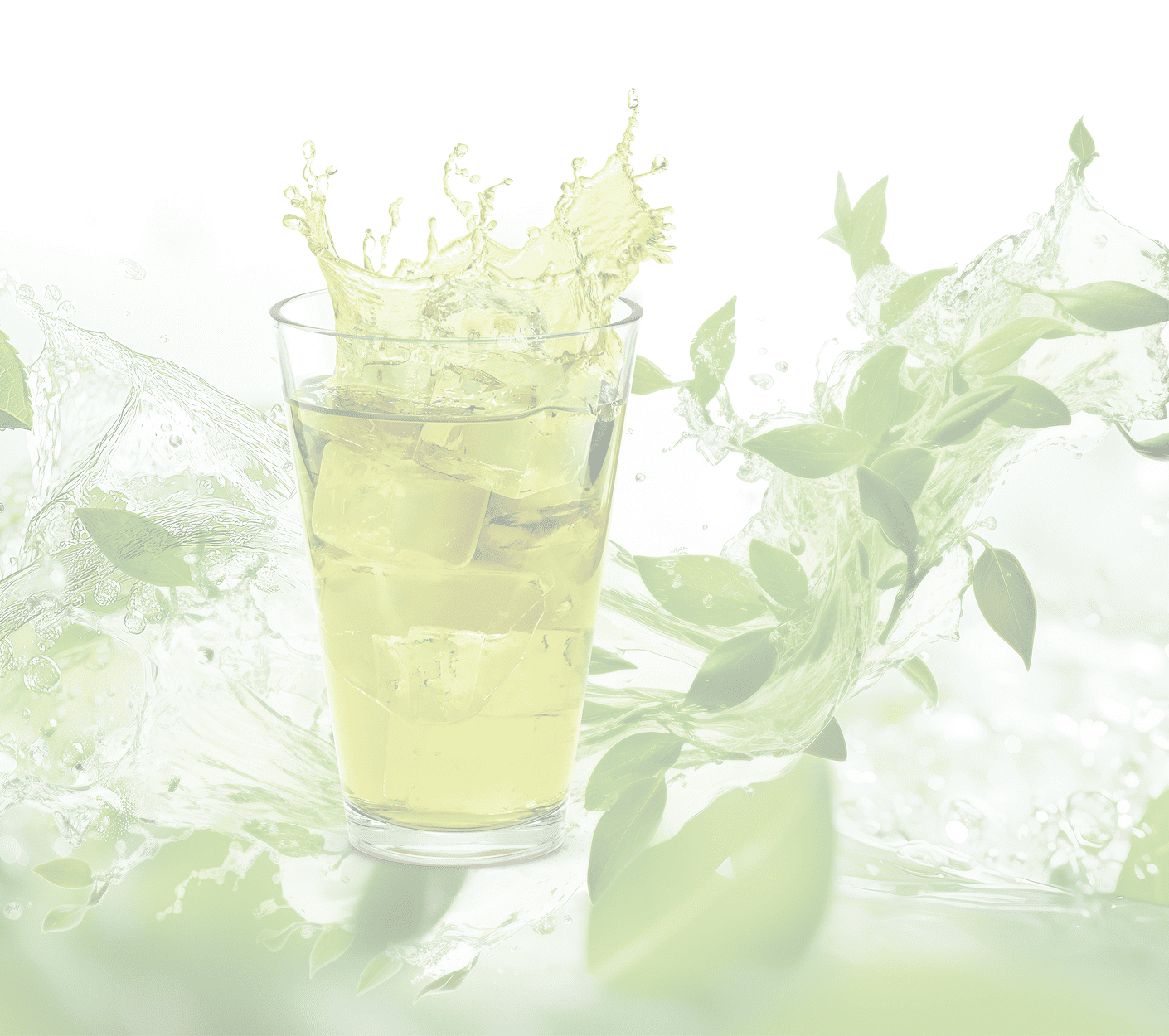 透過した緑茶の画像