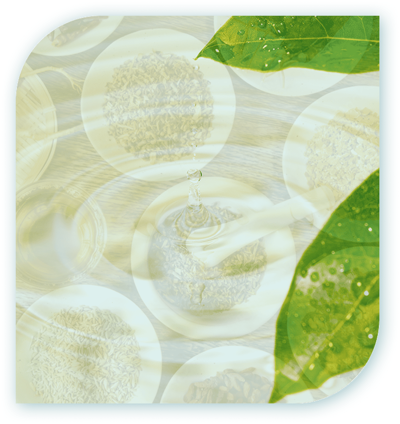 配合成分のイメージ