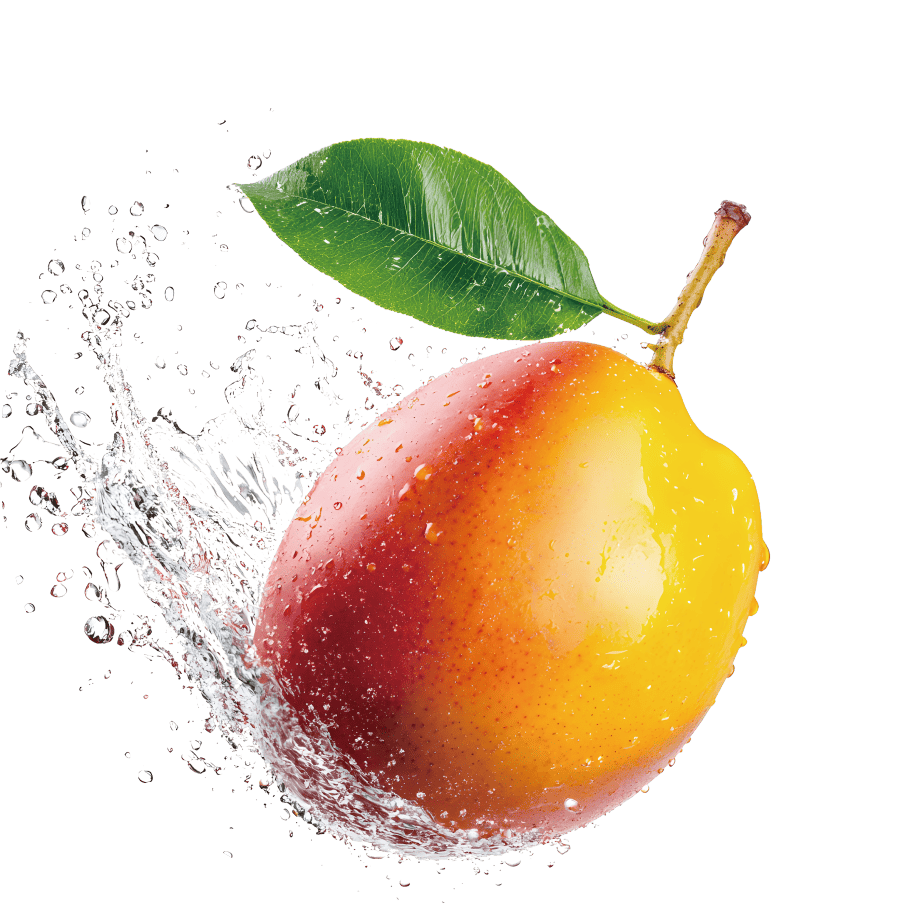 丸いマンゴーの画像