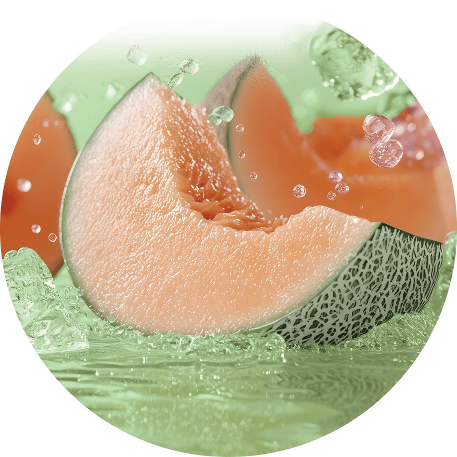 丸いメロンの画像