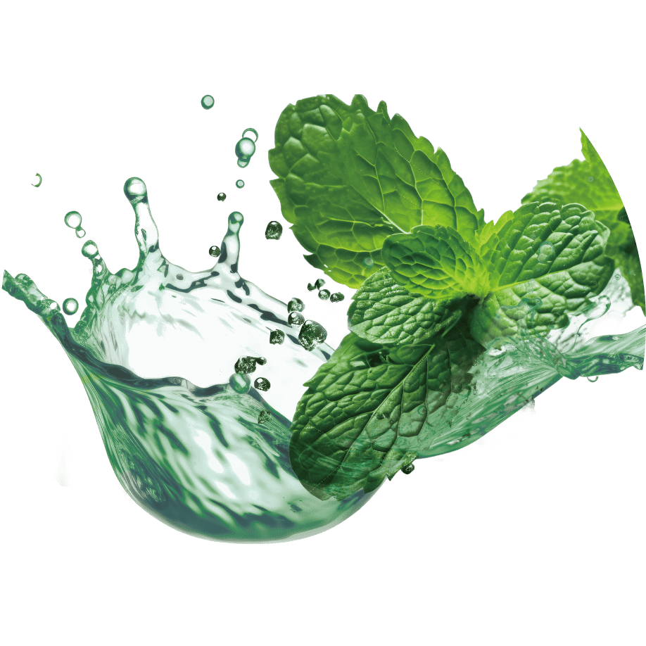 丸いミントの画像