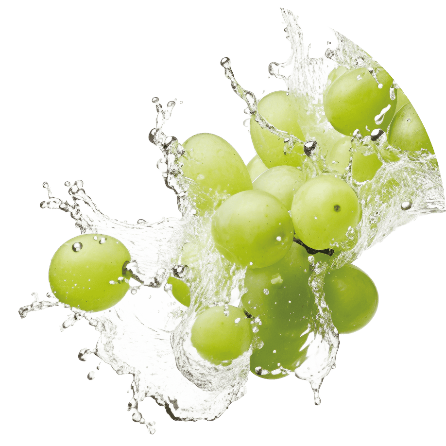 丸いマスカットの画像