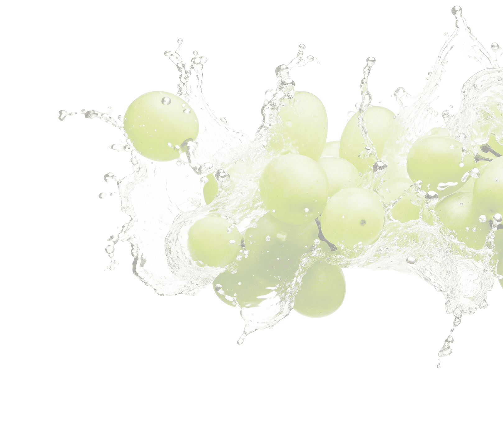 透過したマスカットの画像