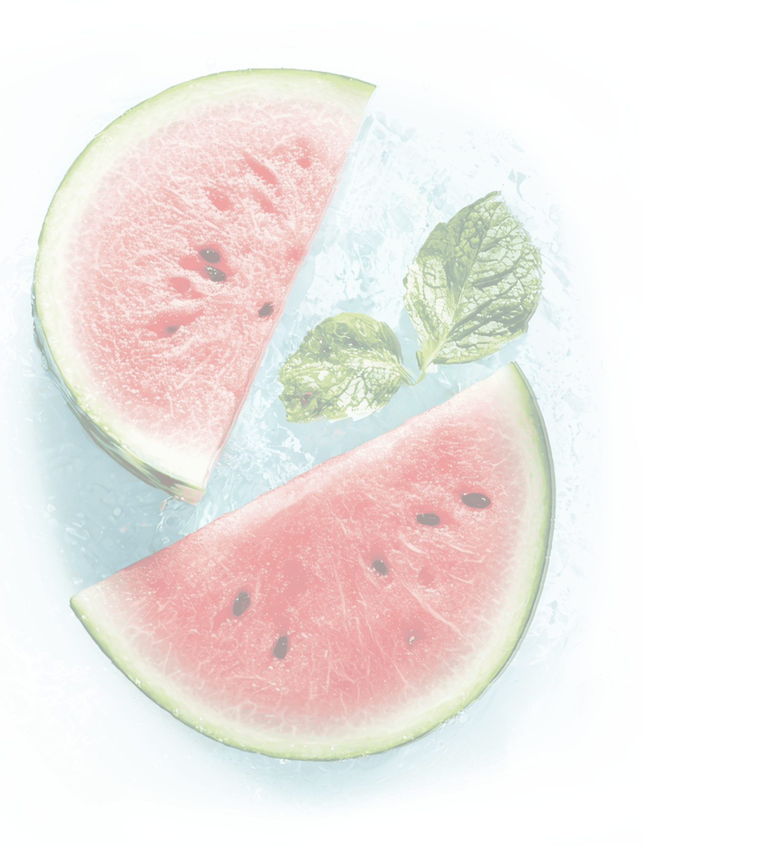 透過した西瓜の画像